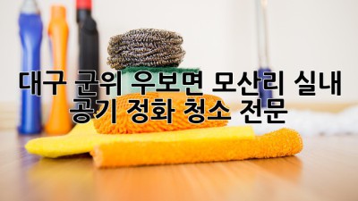 대구 군위 우보면 모산리 실내 공기 정화 청소 전문
