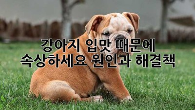 강아지 입맛 때문에 속상하세요? 원인과 해결책!